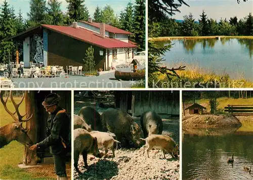 AK / Ansichtskarte Mehlmeisel Bayreuther Haus Wildgehege Weiheranlage Kat. Mehlmeisel