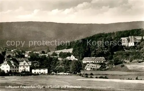 AK / Ansichtskarte Friedenfels Teilansicht Luftkurort mit Schloss und Steinwald Kat. Friedenfels