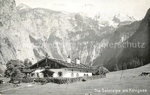 AK / Ansichtskarte Saletalpe am Koenigsee Alpenpanorama Kat. Berchtesgaden