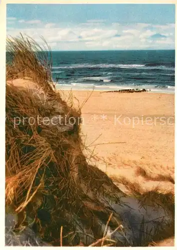 AK / Ansichtskarte Insel Sylt Duenen Strand Kat. Westerland