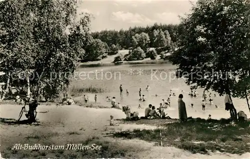 Alt Buchhorst am Moellensee Kat. Gruenheide Mark