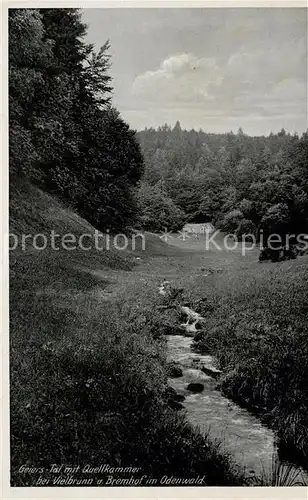 AK / Ansichtskarte Vielbrunn Geierstal mit Quellkammer Natur Landschaftspanorama Odenwald Kat. Michelstadt