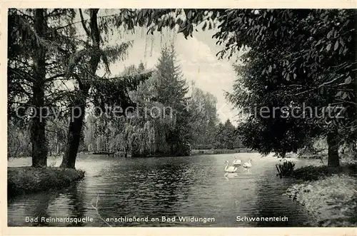 AK / Ansichtskarte Bad Reinhardsquelle Schwanenteich Kat. Bad Wildungen