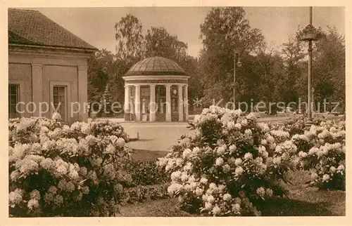 AK / Ansichtskarte Franzensbad Boehmen Franzensquelle Rhododendronbuesche Kat. Frantiskovy Lazne