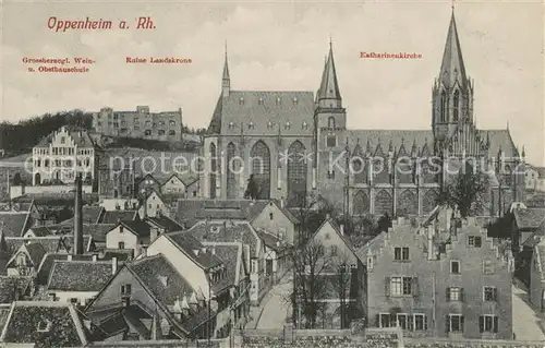 AK / Ansichtskarte Oppenheim Grossherzogl Obstbauschule Ruine Landskrone Katharinenkirche Kat. Oppenheim Rhein