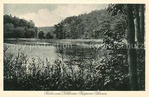 AK / Ansichtskarte Neuruppin Partie am Kellensee Ruppiner Schweiz Landschaftspanorama Natur Kupfertiefdruck Kat. Neuruppin