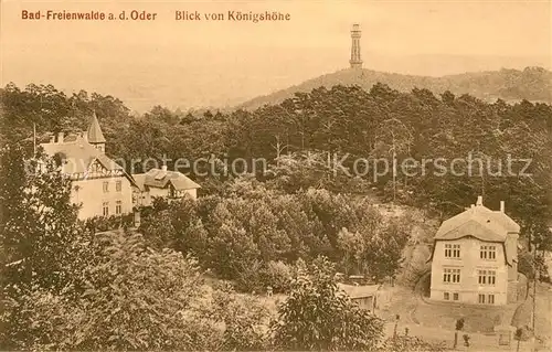 AK / Ansichtskarte Bad Freienwalde Blick von Koenigshoehe Aussichtsturm Kat. Bad Freienwalde