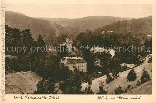 AK / Ansichtskarte Bad Freienwalde Landschaftspanorama Brunnental Kat. Bad Freienwalde