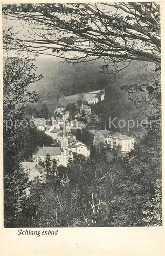 AK / Ansichtskarte Schlangenbad Taunus Teilansicht Kat. Schlangenbad