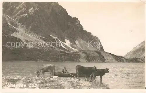 AK / Ansichtskarte Luenersee Vorarlberg Landschaftspanorama Alpen Almvieh Kuehe Kat. Vandans