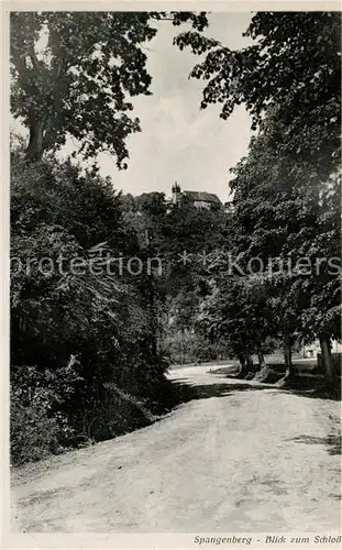 AK / Ansichtskarte Spangenberg Hessen Blick zum Schloss Kat. Spangenberg