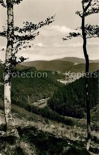 AK / Ansichtskarte Schwalefeld Landschaftspanorama Schwalefelder Tal Kat. Willingen (Upland)