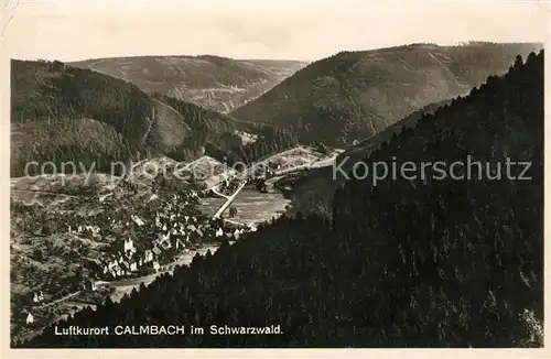 AK / Ansichtskarte Calmbach Enz Panorama Kat. Bad Wildbad
