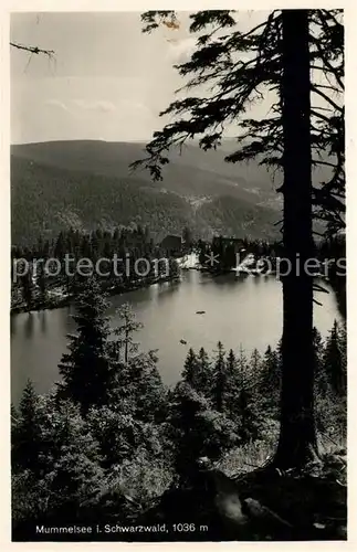 AK / Ansichtskarte Mummelsee Panorama Kat. Seebach