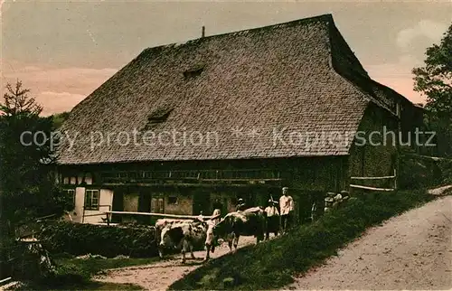 AK / Ansichtskarte Furtwangen Schwarzwald Bauernhof Kat. Furtwangen im Schwarzwald