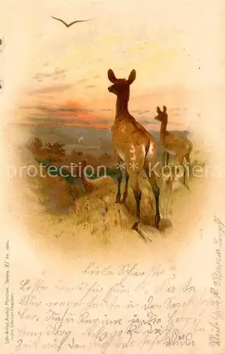 AK / Ansichtskarte Reh Litho  Kat. Tiere