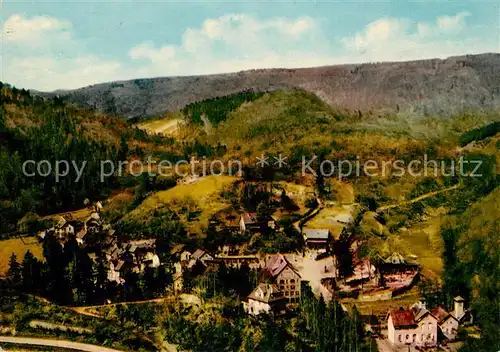 AK / Ansichtskarte Treseburg Harz Panorama Kat. Treseburg