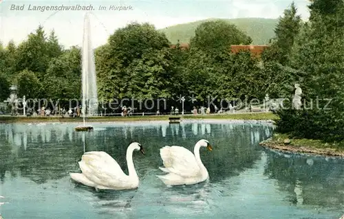 AK / Ansichtskarte Bad Langenschwalbach Schwanenteich im Kurpark