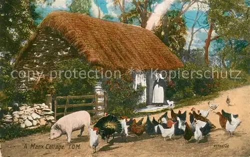 AK / Ansichtskarte Bauernhaus Manx Cottage Schwein Huehner Truthahn Kat. Landwirtschaft