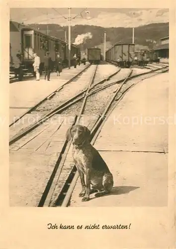 AK / Ansichtskarte Hunde Bahnhof Zug  Kat. Tiere