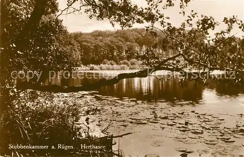 Stubbenkammer Ruegen Landschaftspanorama Herthasee Kat. Sassnitz