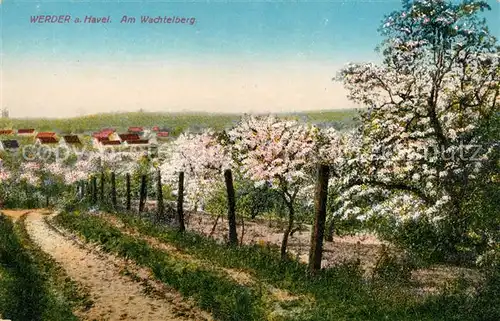 Werder Havel Obstbaeume am Wachtelberg Baumbluete Kat. Werder