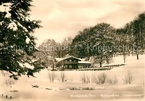 AK / Ansichtskarte Wernigerode Harz Waldgasthaus Christianental  Kat. Wernigerode