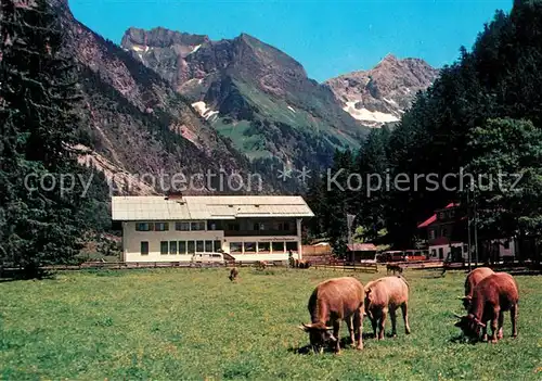 Oytal bei Oberstdorf mit Oytalhaus Kuehe Kat. Oberstdorf