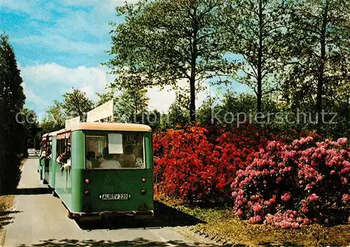 Wiesmoor Gaertnerei Azaleen Rhododendronkulturen Kat. Wiesmoor