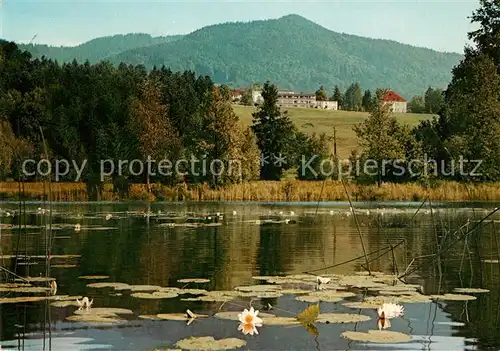 AK / Ansichtskarte Bad Heilbrunn Schoenauer Weiher Kat. Bad Heilbrunn