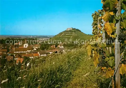 AK / Ansichtskarte Staufen Breisgau Panorama Kat. Staufen im Breisgau