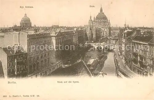 Berlin Stadtpanorama mit Blick auf die Spree Dom Kgl Schloss Kat. Berlin