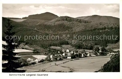 Langenei Panorama Kat. Lennestadt