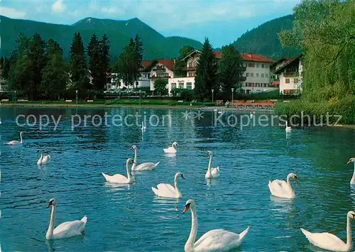 AK / Ansichtskarte Bad Wiessee Kuranlagen Hirschberg Kat. Bad Wiessee