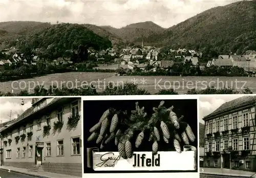 AK / Ansichtskarte Ilfeld Suedharz Panorama Gaststaette zur Krone Gaststaette zur Linde Kat. Ilfeld Suedharz