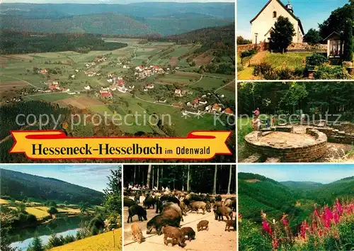 AK / Ansichtskarte Hesselbach Odenwald Gasthaus Pension Drei Lilien Wildpark Flugaufnahme Kat. Hesseneck
