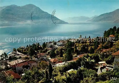 AK / Ansichtskarte Brissago TI Panorama Kat. Brissago