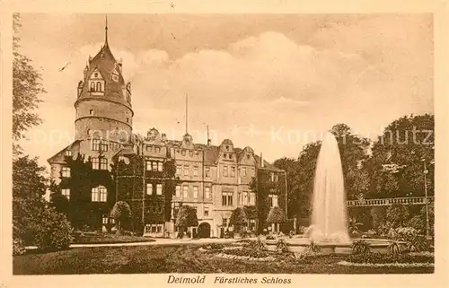 AK / Ansichtskarte Detmold Fuerstliches Schloss Springbrunnen Fontaine Kat. Detmold