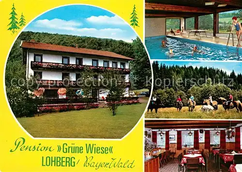 AK / Ansichtskarte Lohberg Lam Pension Gruene Wiese Kat. Lohberg