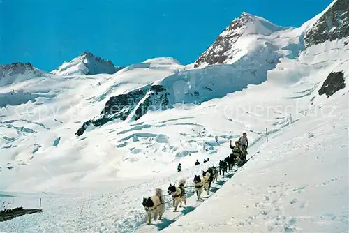 AK / Ansichtskarte Jungfraujoch Polarhunde Hundeschlitten Gletscherhorn Rottalhorn Gebirgspanorama Berner Alpen Kat. Jungfrau