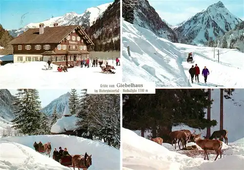 AK / Ansichtskarte Hintersteinertal Giebelhaus Pferdeschlitten Hirsche Winterlandschaften Kat. Oesterreich