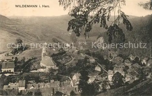 AK / Ansichtskarte Wildemann Panorama Kat. Wildemann Harz