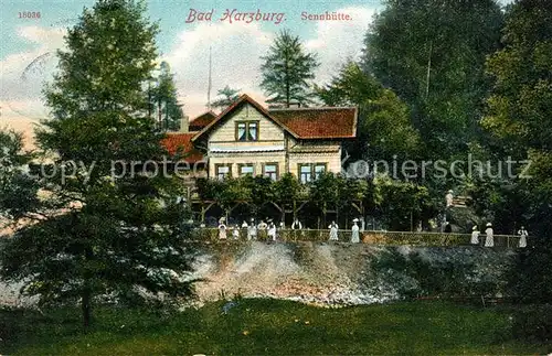 AK / Ansichtskarte Bad Harzburg Sennhuette Kat. Bad Harzburg