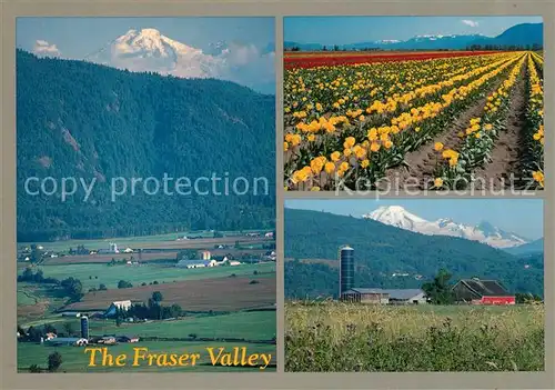 AK / Ansichtskarte Abbotsford British Columbia Panorama Farmland of Fraser Valley Kat. Abbotsford