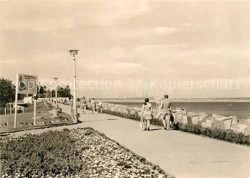 AK / Ansichtskarte Senftenberg Niederlausitz Erholungszentrum Senftenberger See Strand Kat. Senftenberg