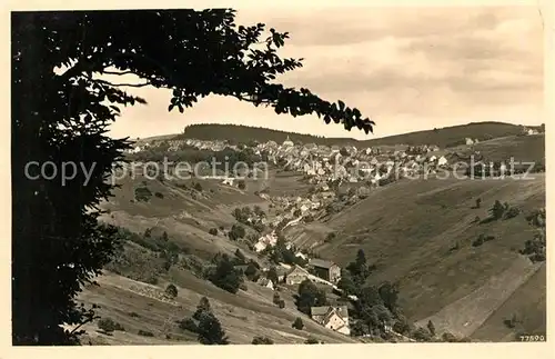 AK / Ansichtskarte St Andreasberg Harz Panorama Kat. Sankt Andreasberg