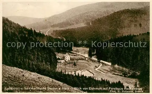 AK / Ansichtskarte Seesen Harz Blick von Eickmuehl auf Forsthaus Neckelnberg Kat. Seesen