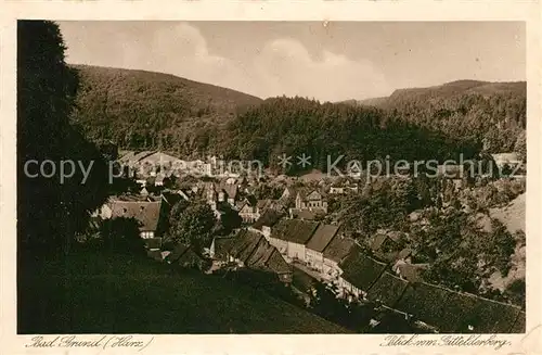 AK / Ansichtskarte Bad Grund Blick vom Gittelderberg Kat. Bad Grund (Harz)