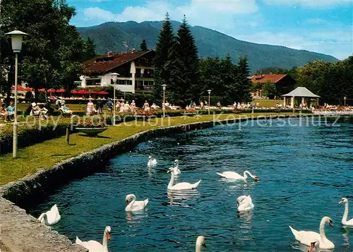 Bad Wiessee Kuranlagen am Tegernsee mit Schwaenen Kat. Bad Wiessee