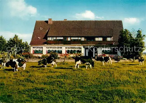 AK / Ansichtskarte Lohe Bad Oeynhausen Cafe Restaurant Sonnenschein  Kat. Bad Oeynhausen